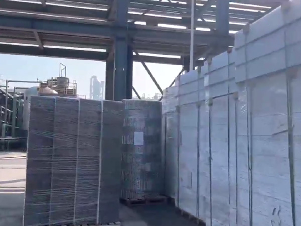 四川福華集團  二乙酯項目，塔內(nèi)件，填料